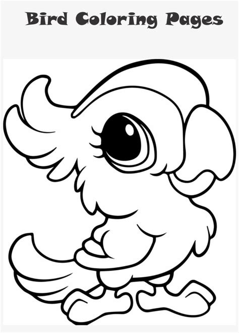 Kawaii Parrot Coloring Page Storm Superhero Coloring Pages Download And