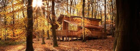 With our romantic suites with jetted tubs and fireplaces, family friendly cabins and vacation rental guest houses, a rustic lodge, and conference room complete with rocky mountain ambiance. Appeal: 67 green belt log cabins allowed in Delamere ...