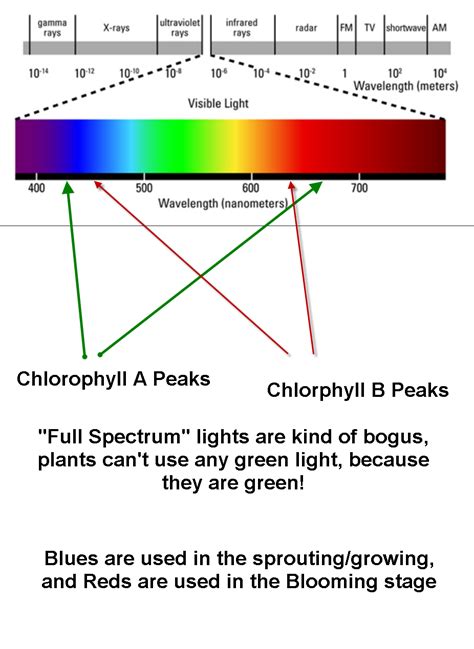 Maybe you would like to learn more about one of these? G2: Grow lights for plants indoors