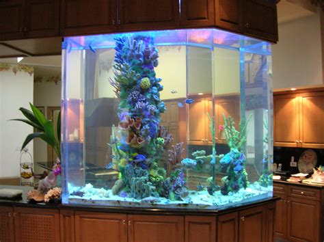 48 x 18 x 30. All sizes | 800 gallon Saltwater Aquarium | Flickr - Photo ...