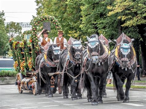 All information, news, events, dates, beer tents, rides, prices, routes and shops for wiesn 2021. Oktoberfest 2021 Schedule of (Really Awesome) Events