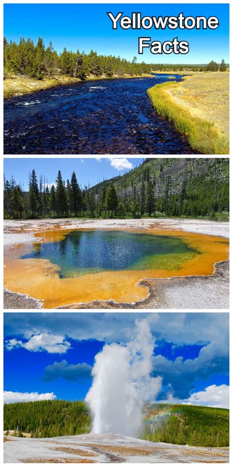 Learn About Yellowstone National Park Facts That You May Not Know