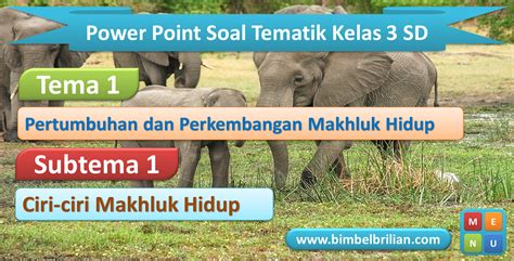 Ppt Soal Kelas Sd Tema Subtema Hubungan Antar Makhluk Hidup Dalam