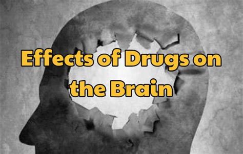 Devastating Side Effects Of Drug In The Brain West Palm
