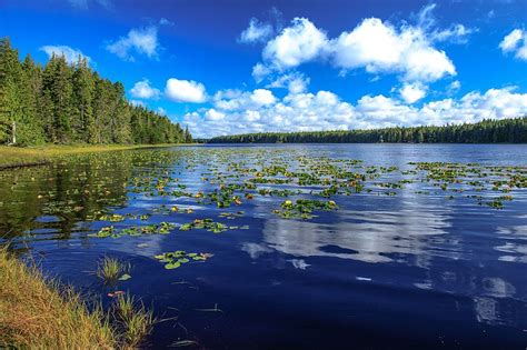 Charlotte islands earthquake struck the sparsely populated queen charlotte islands and the pacific northwest coast at 8:01 in the wikipedia satellite map of 1949 queen charlotte islands earthquake in google maps. 4 Best Islands in Canada to Visit | Voyager - Sandy N Vyjay