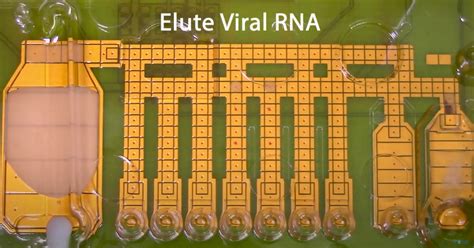 Webinar Rapid Rt Pcr For Sars Cov With Digital Microfluidics