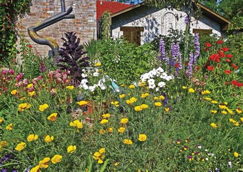 The Amazing Poppy Plant Grit Rural American Know How