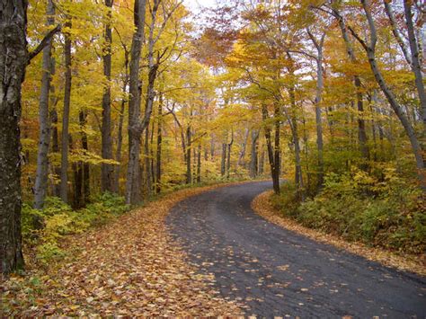 Massachusetts Road In Fall Photo