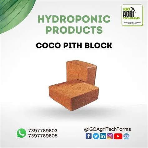 Square Cocopeat Block Packaging Type Carton Box Packaging Size 5 Kg At Best Price In Chennai