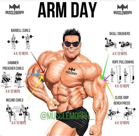 Blast Your Arms Arm Workout Arm Day Workout Plan