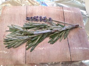 • apply mod podge® to entire candle. DIY Pressed Flowers with Mod Podge - Mod Podge Rocks