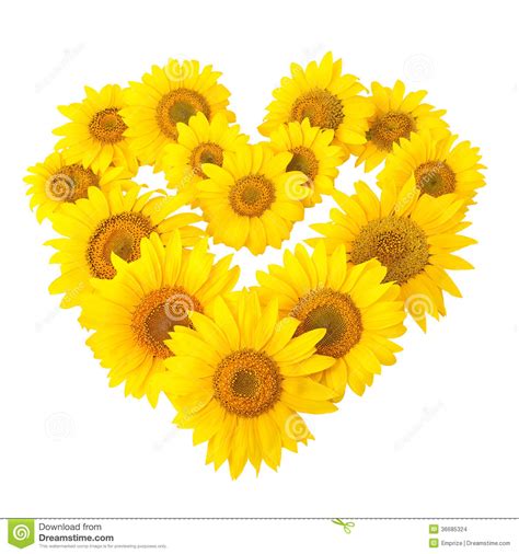 Free Free 336 Clipart Sunflower Heart SVG PNG EPS DXF File