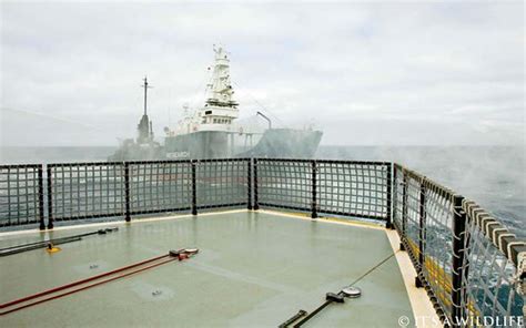 2 length overall (loa) is 70.55 m, beam is 10.2 m. Shonan Maru No.2 | Shonan Maru No.2 approaches the Steve ...