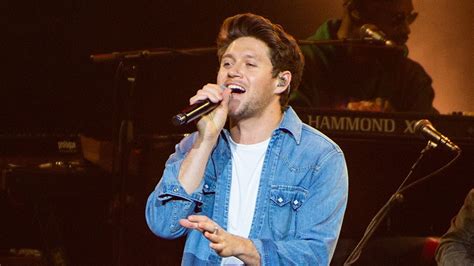 Niall Horan Releases New Single Meltdown Revealing The Meaning Behind It