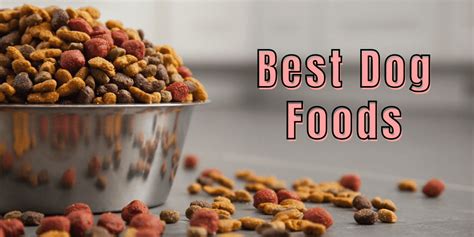 Absolute Best Dog And Puppy Food Supplements Complete Guide The