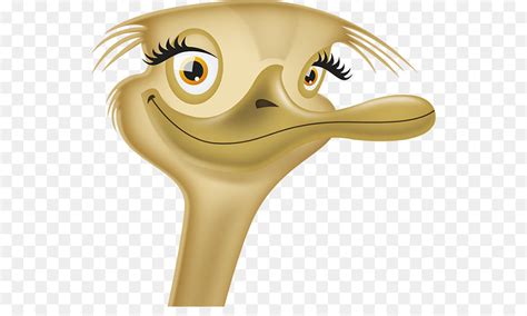 Sayap terbang burung, burung terbang, biru, hewan, fotografi png. Paling Keren 10+ Gambar Kartun Burung Unta - Gani Gambar