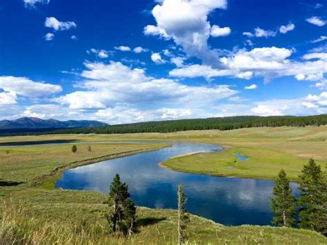 Fortunately, we were lucky enough to see bison, elk (males, females, and babies), mule deer there are numerous turnouts to stop and soak in the view of the valley, yellowstone river and native wildlife. Hayden Valley (Yellowstone National Park) - 2020 All You ...