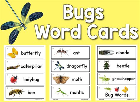 Our printables could be really useful for kids who are learning to speak or read in either native or foreign. Bugs Insect Picture Word Cards - PreKinders