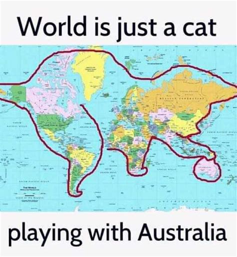 World Is Just A Cat Playing With Australia