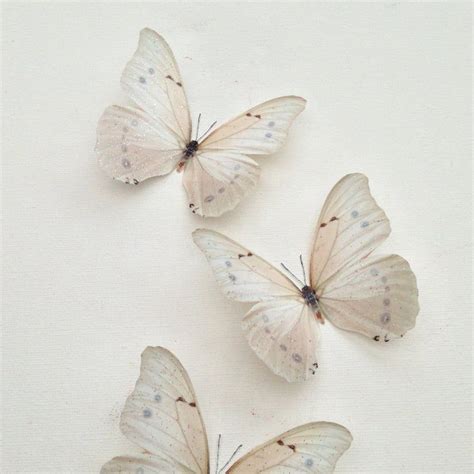 6 Luxury Ivory Cream Flying 3d Butterflies Bedroom Butterfly Etsy