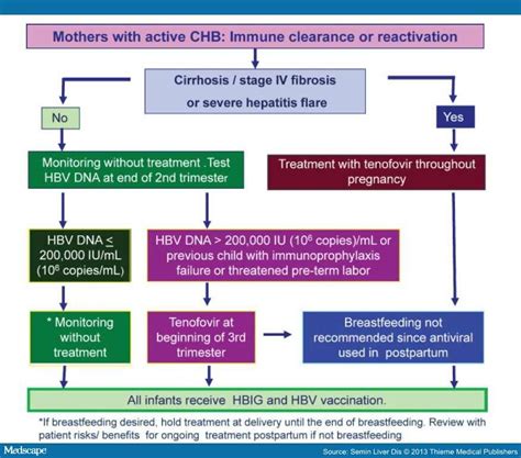 antiviral therapy for chronic hepatitis b in pregnancy