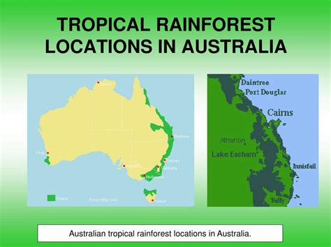 Some examples of plants found in the rainforest include: Location Of Tropical Rainforest : A Map Of Global Tropical ...
