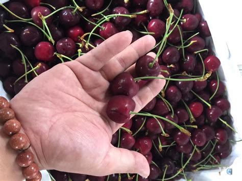 Fresh Cherry Varieties Winn Universal Official Site Fruit And Seafood