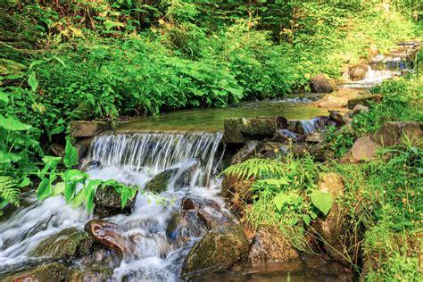 Forest Stream Splashes On The Rock Cascade Free Photo Download Freeimages