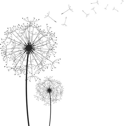 Dandelion Silhouette At Getdrawings Free Download