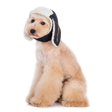 Arctic Air Aviator Dog Hat Ubicaciondepersonascdmxgobmx