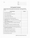 16 Cell Structure And Function Worksheet Answers / worksheeto.com
