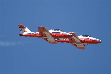 .birds.often called snowbirds,because of their habit of gathering in large flocks prior to bad weather.one of the more common feeder birds,going for seed on the ground. ملف:Snowbirds 2-plane Reno Air Show-2007-09-15.jpg ...
