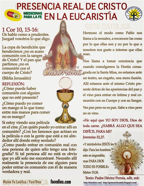 Gota Católica Gotas De Dios Presencia Real De Cristo En La EucaristÍa