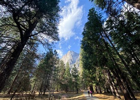 Valley Visitor Center Parc National De Yosemite 2021 Ce Quil Faut