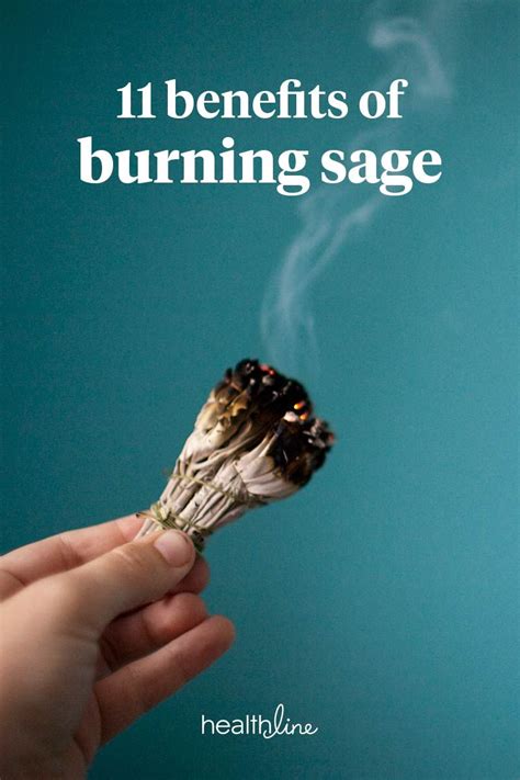 21 Is Burning Sage Bad For The Environment Tech And Sports News