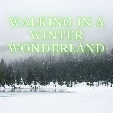 Various Artists Walking In A Winter Wonderland Lyrics And Tracklist