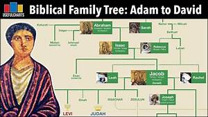 Biblical Family Tree From Adam To David Biblical Family Tree Episode