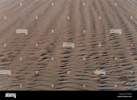 Sand Dunes Playa Hermosa Beach Ensenada Baja California Mexico Ripples Stock Photo Alamy