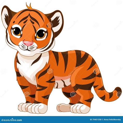 Cute Tiger Cub Stock Illustrations 5358 Cute Tiger Cub Stock