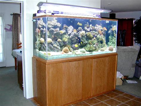 225 Glass Reef Tank Aquarium Design Marine Aquariums And Coral Reef