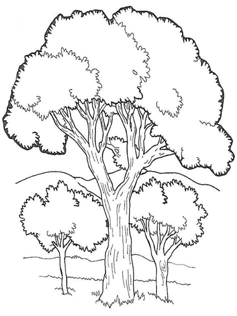 Adult Coloring Pages Of Trees Coloring Pages