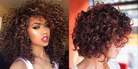 Natural Curly Hairstyle And Ombre Hair Color Hairstyles
