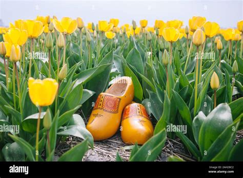 Close Up Typical Dutch National Wooden Clogs Traditional Netherlands