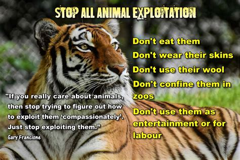Save Tiger Images With Slogan PeepsBurgh