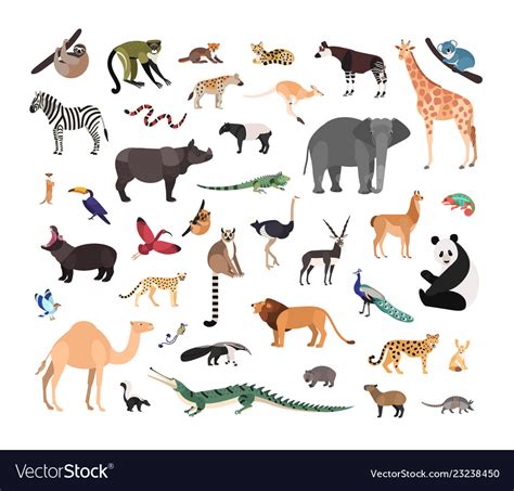 Collection Of Exotic Wild Animals Isolated Vector Image