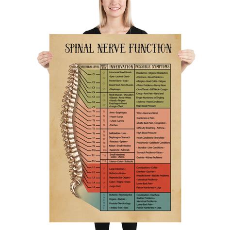 A Woman Holding Up A Poster With The Words Spiral Nerve Function On It