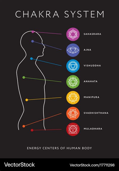 chakra system of human body energy centers vector image