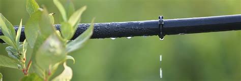 Check spelling or type a new query. The 10 Best Drip Irrigation System Services Near Me