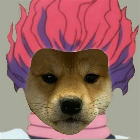 Dog With Hat Meme Anime Meme Pfp Dog This Is A Fiasco Bro Cute