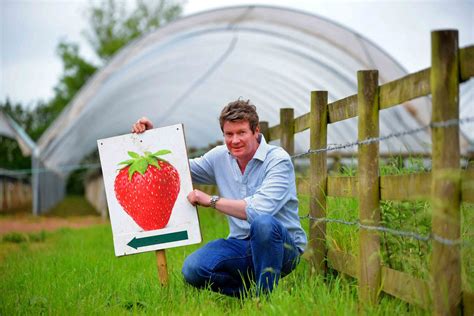 Pick your own bowl of delight: what it's like to be a strawberry farmer ...